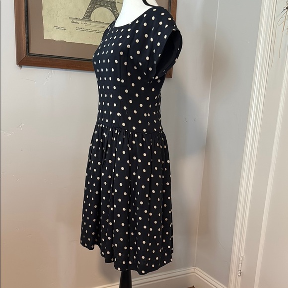 Navy and Cream Fit and Flare Midi Dress with Flutter Sleeves - Picture 5 of 5